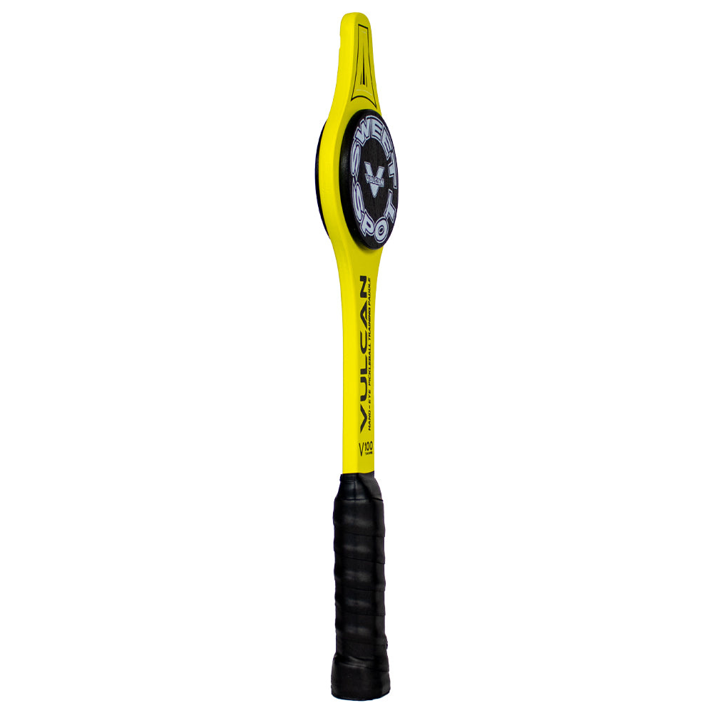 V100 Training Paddle